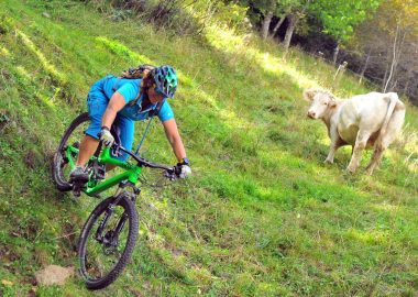 Respecting the paths and other users – Safety