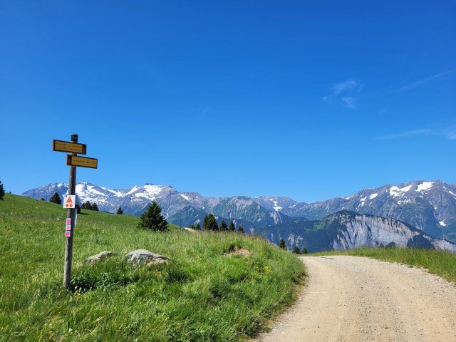 Signal de l’Homme Trail