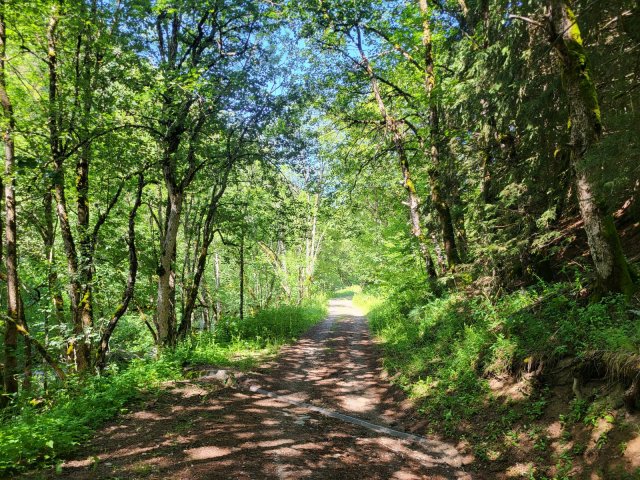 Along the Sarenne River